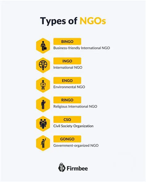 Suggestions to Increase the Effectiveness of NGOs