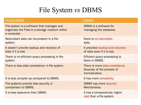 Supported File Systems and Operating Systems