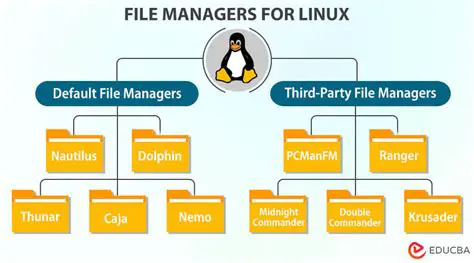 System Tools and File Managers