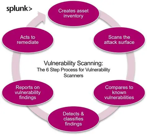 The Challenges of Vulnerability Reports