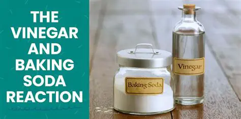 The Chemical Reaction between Baking Soda and Vinegar