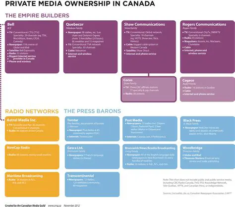 The Consequences of Prohibiting Private Media Ownership