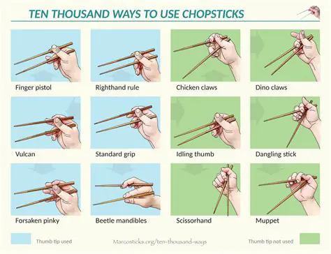 The Function of Chopsticks in Everyday Life