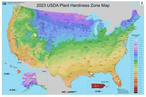 The Importance of Hardiness in the World of Work