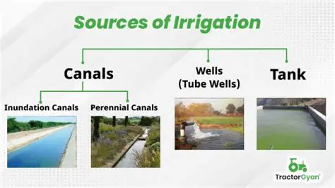 The Importance of Irrigation Canals in Desert Agriculture