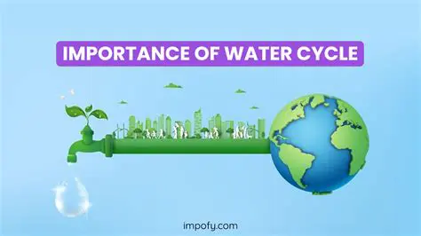 The Importance of Measurement of Water Content