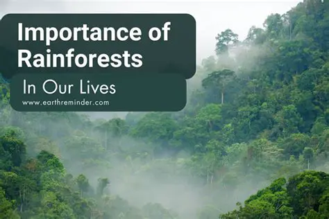 The Importance of Tropical Rainforests