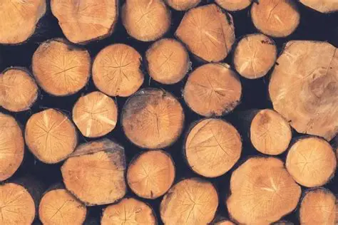 The Importance of Wood in Northwest Indian Culture