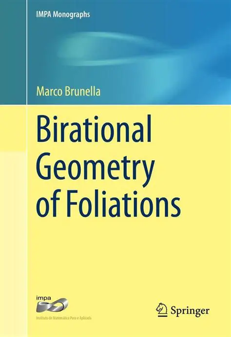 The Question of Constructibility of Being Birational