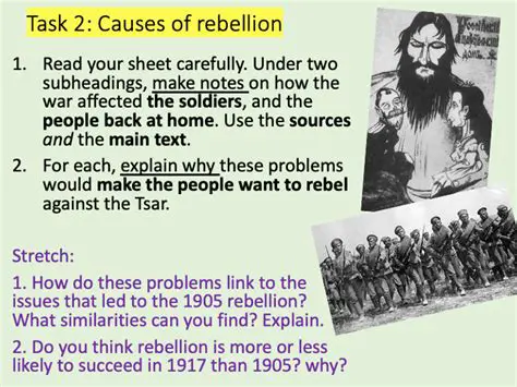 The Reasons Behind the Rebellion