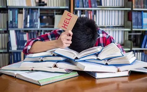 The Struggle with Academics