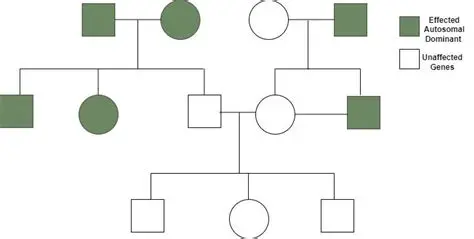 The Typical Pattern of a Pedigree for an Autosomal Dominant Trait