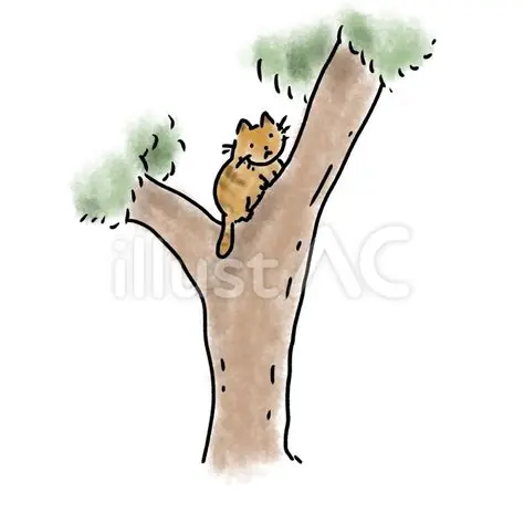 There is not a cat under The tree