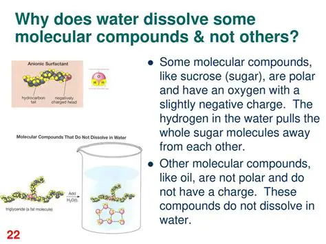 They Do Not Dissolve in Water or Easily Break Down in the Atmosphere