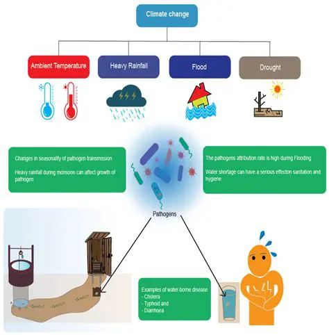 Two Ways that Waterborne Pathogens can be Transmitted