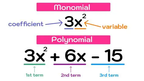 Types of Polynomial Factoring