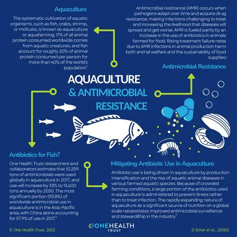 Understanding Crustaceans and Antibiotics