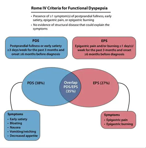 Understanding Functional Dyspepsia and Anxiety