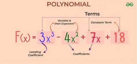 Understanding Polynomial Fits