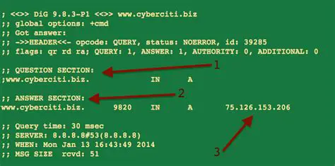 Understanding the Default Output of Dig
