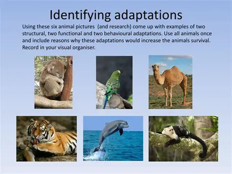 Understanding the importance of adaptation