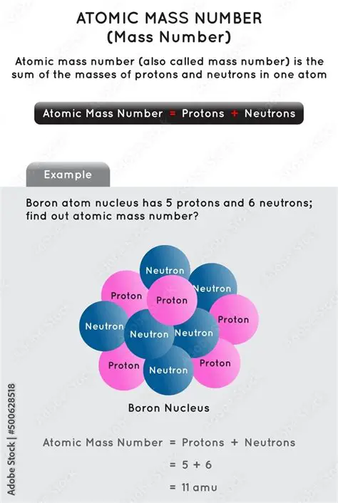 Understanding the Mass Number