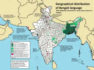 Unveiling Bangla: Language, Culture, and Identity in South Asia