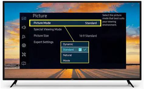 Videophile Encoding Mode for Best Picture Quality