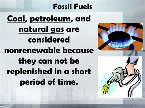 Why Petroleum Cannot be Replenished